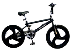 20"freestyle bicycle